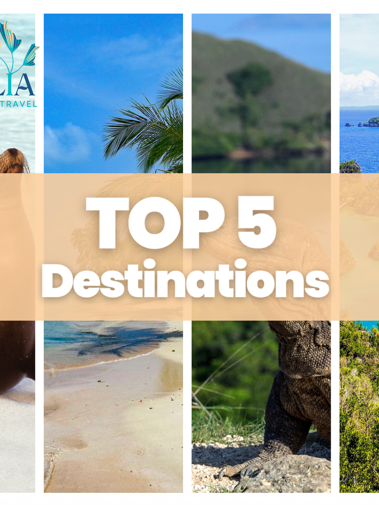 top 5 des destinations